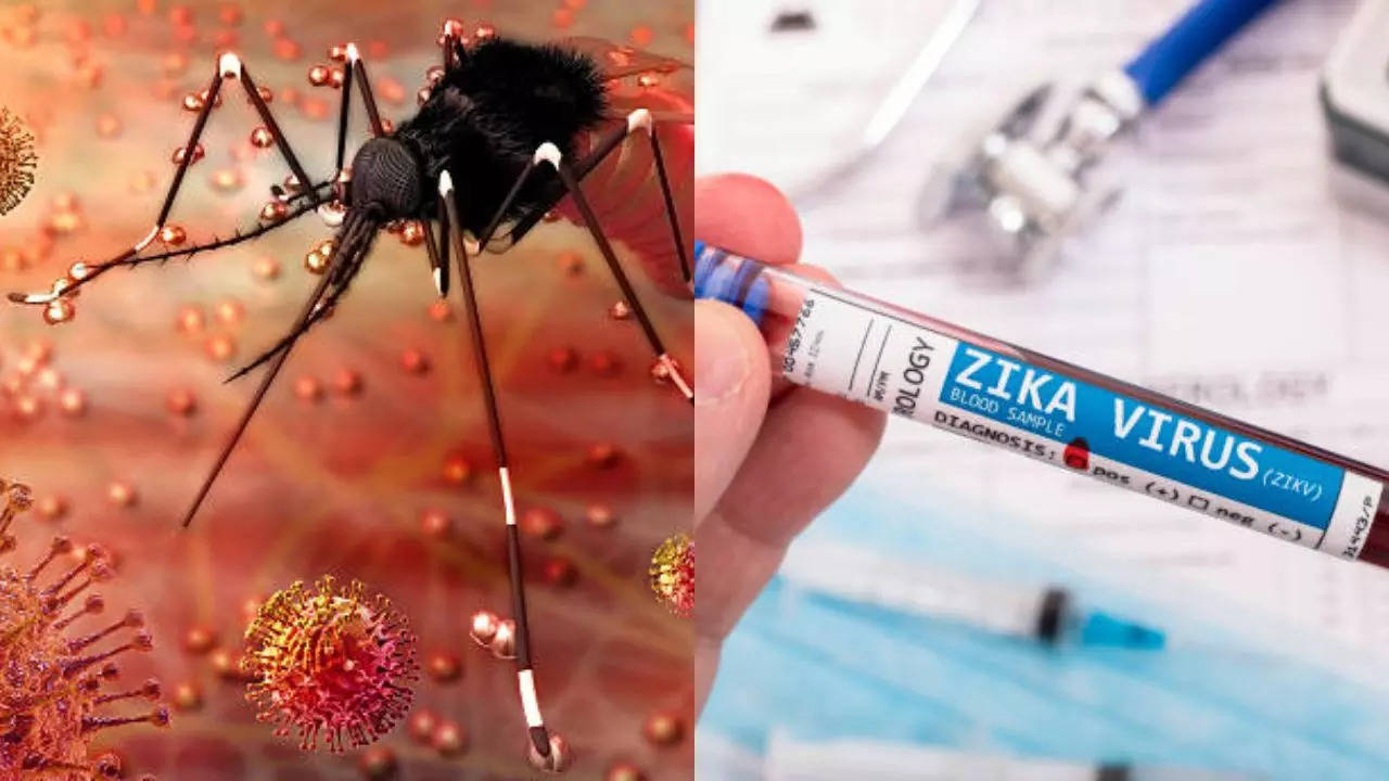 Zika Virus Spreads In Gandhinagar, Total Cases Reach 500 – Are You At Risk?