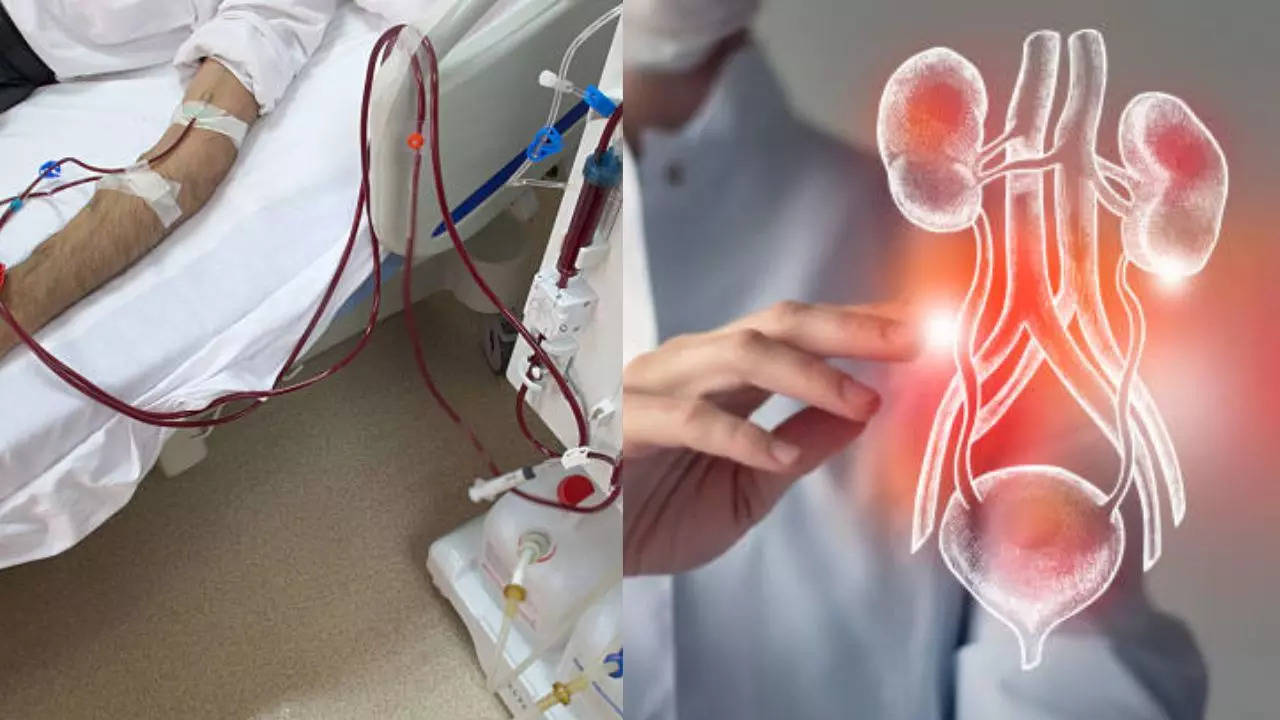 Men And Women On Kidney Dialysis Face Unique Heart Risks: Study