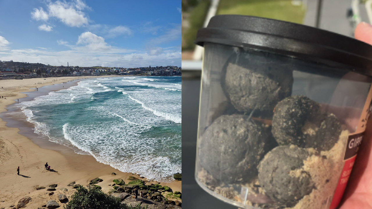 Mystery Behind Black Balls On Sydney Beaches Solved