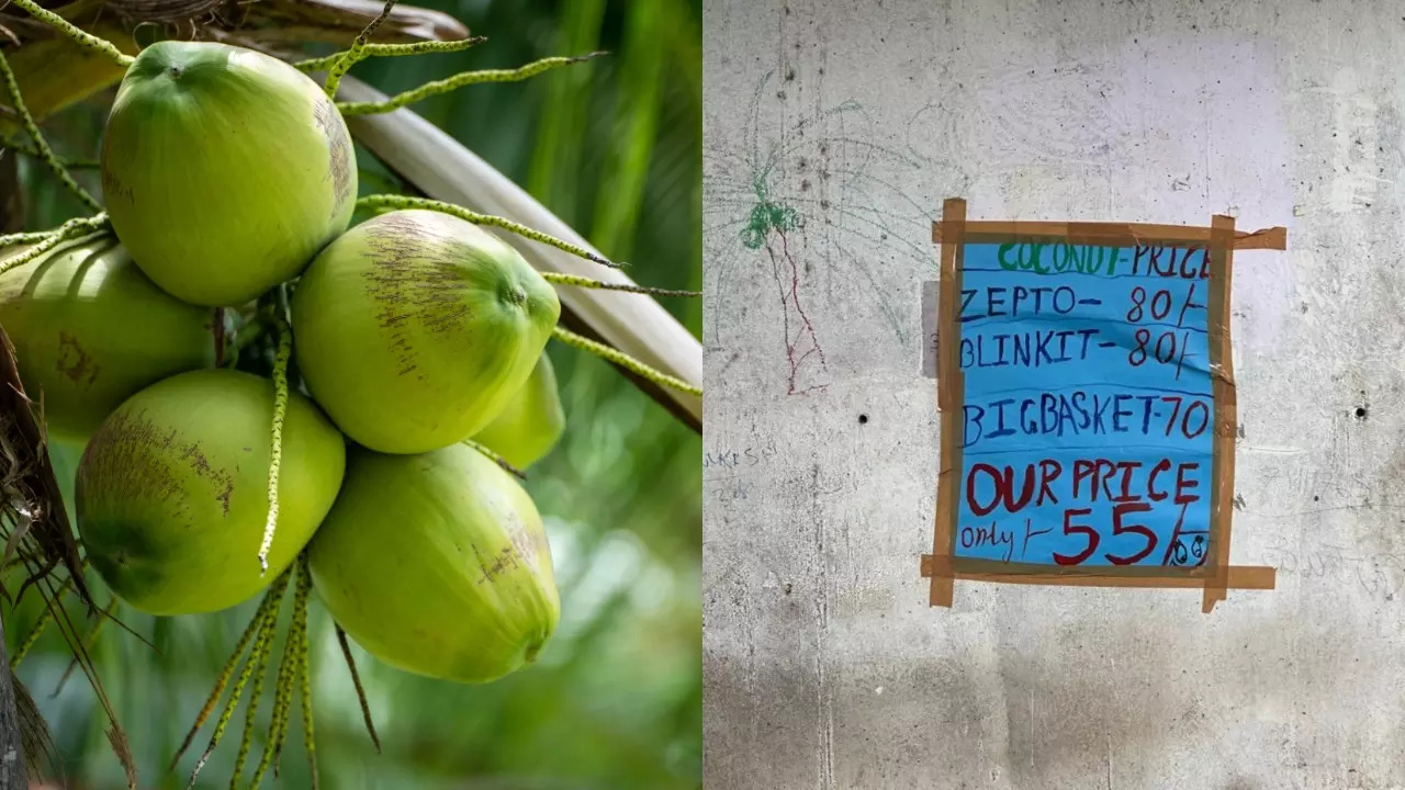 A local coconut vendor takes on Zepto, BlinkIt and Big Basket with lower prices. | Peak Bengaluru