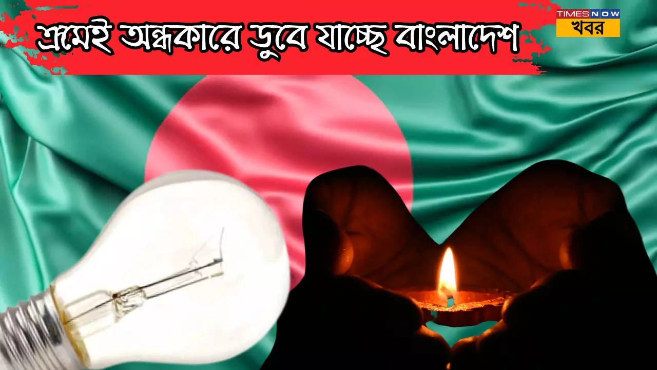 Bangladesh Electricity going crisis after adani group cuts 60 percent electricity.