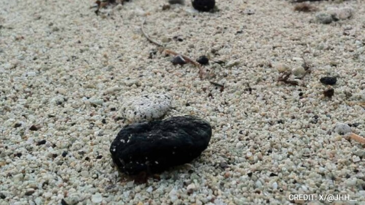 Thousands of mysterious black balls washed ashore on popular Australian beaches.