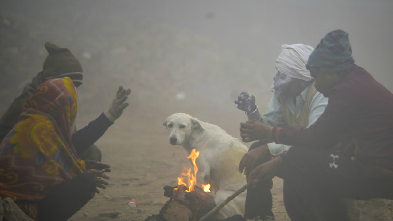 Maharashtra Weather Update