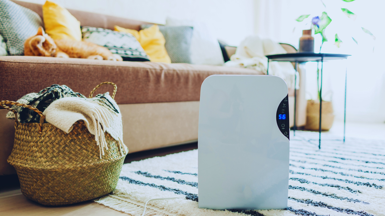 Save Money and Dry Clothes Indoors: The Smart Way to Use a Dehumidifier