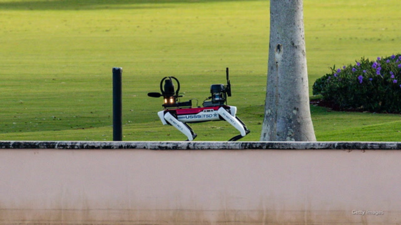 Robot Dog at Trump House