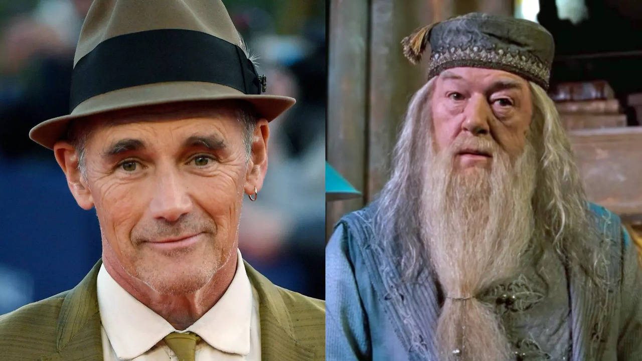 Harry Potter TV Series Wants THIS Oscar-Winning Actor To Play Dumbledore