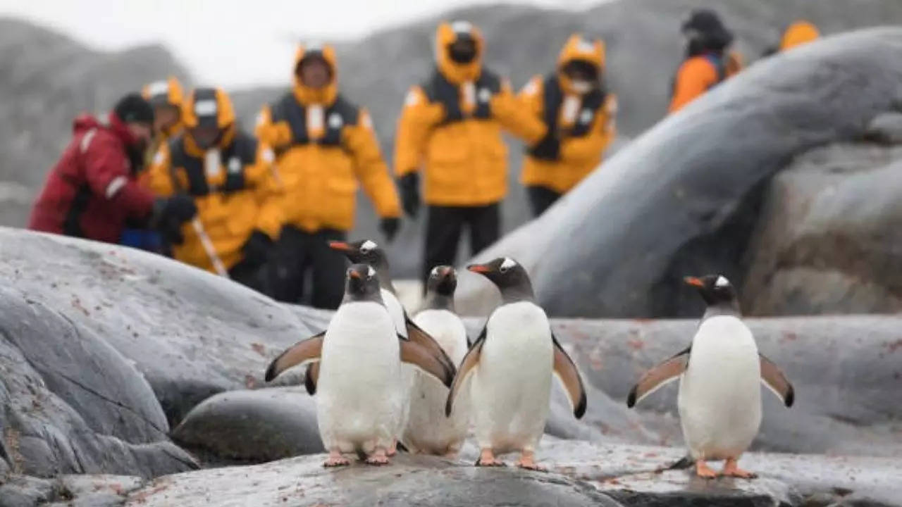 Why Antarctica Has Become The Hottest Destination On The Map. Credit: iStock