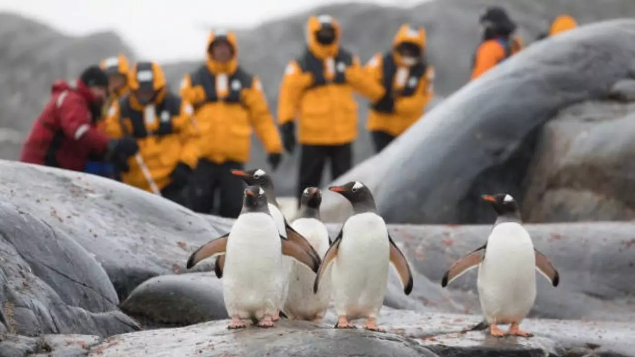 Why Antarctica Has Become The Hottest Destination On The Map. Credit: iStock