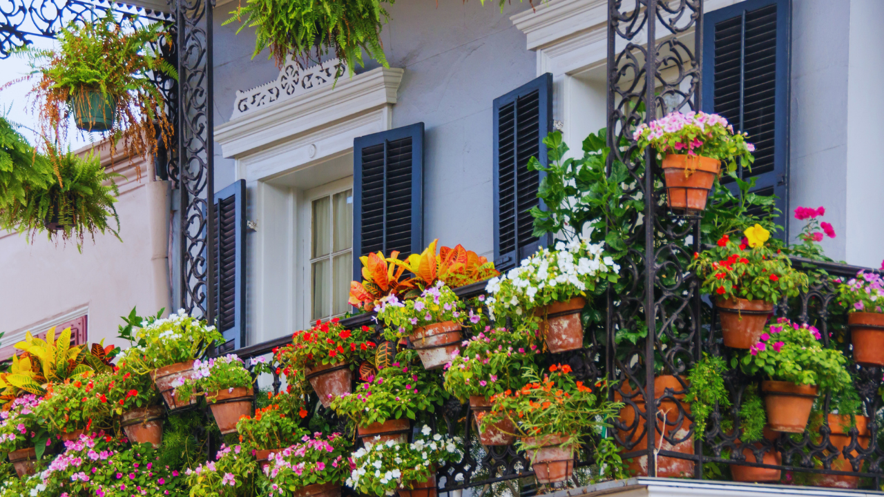 Balcony Garden Decor Ideas To Try This Winter