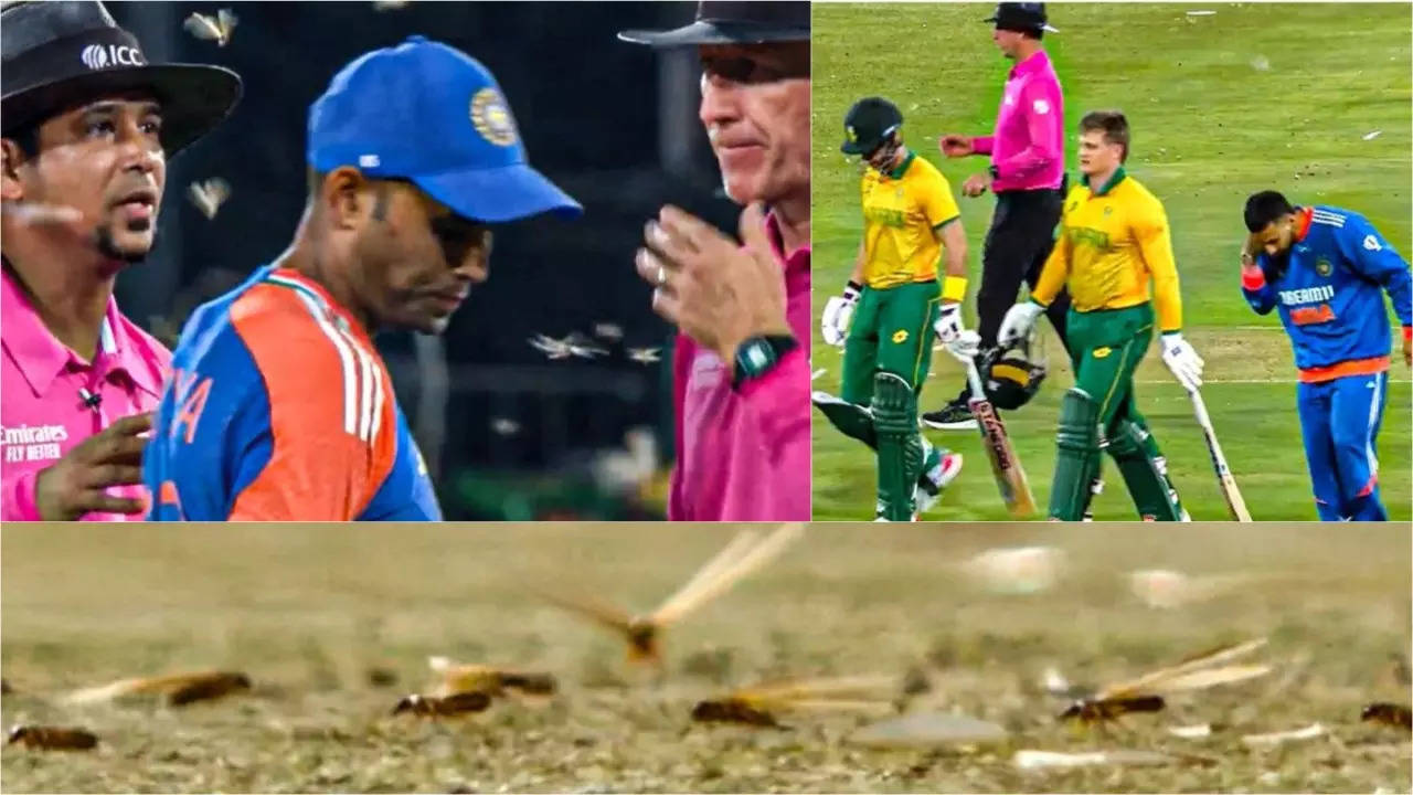 Flying Ants Stop SA vs IND T20I