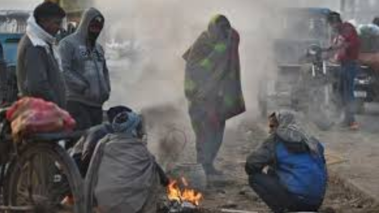 cold wave in north maharashtra 