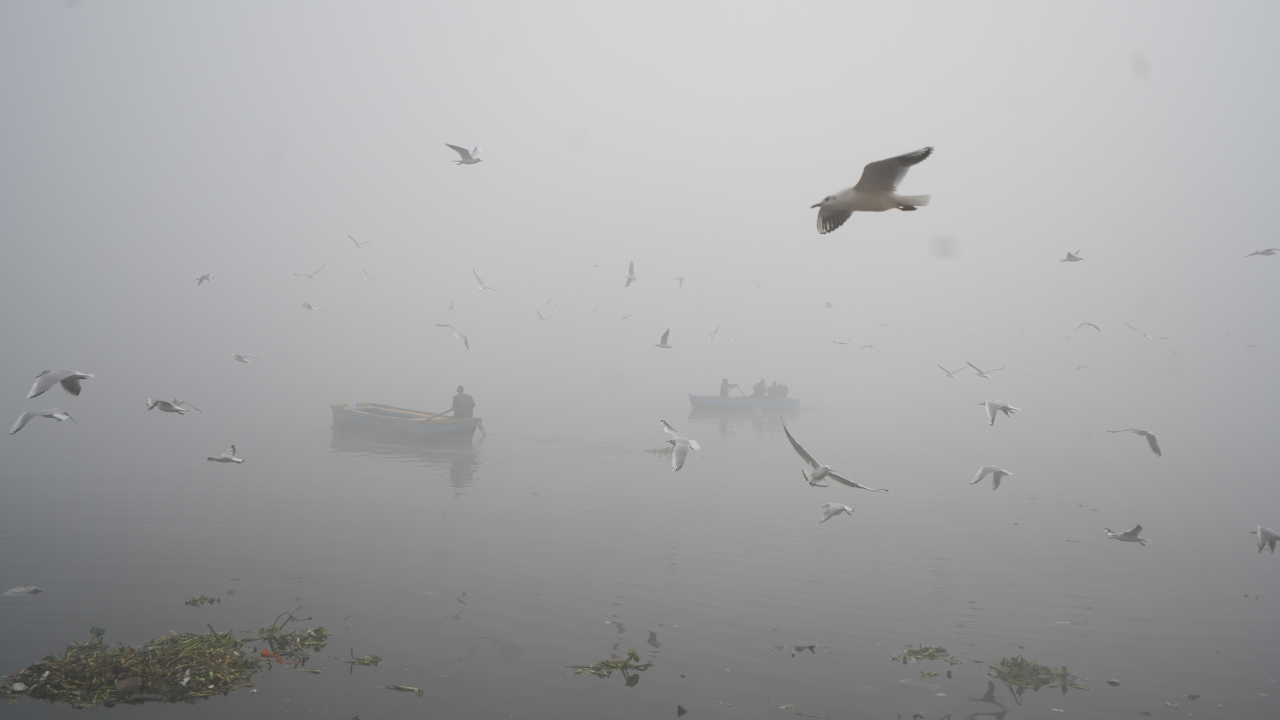 Delhi Tops Global Pollution Charts as Air Quality Hits 'Severe' Levels, Flights Diverted