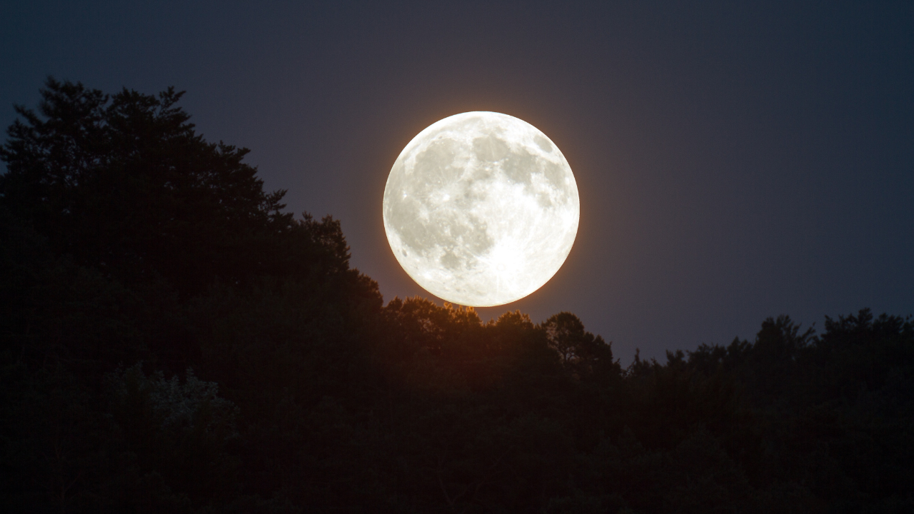 last supermoon 2024, leonid meteor shower to light up the sky this weekend: date and time in india, how to watch