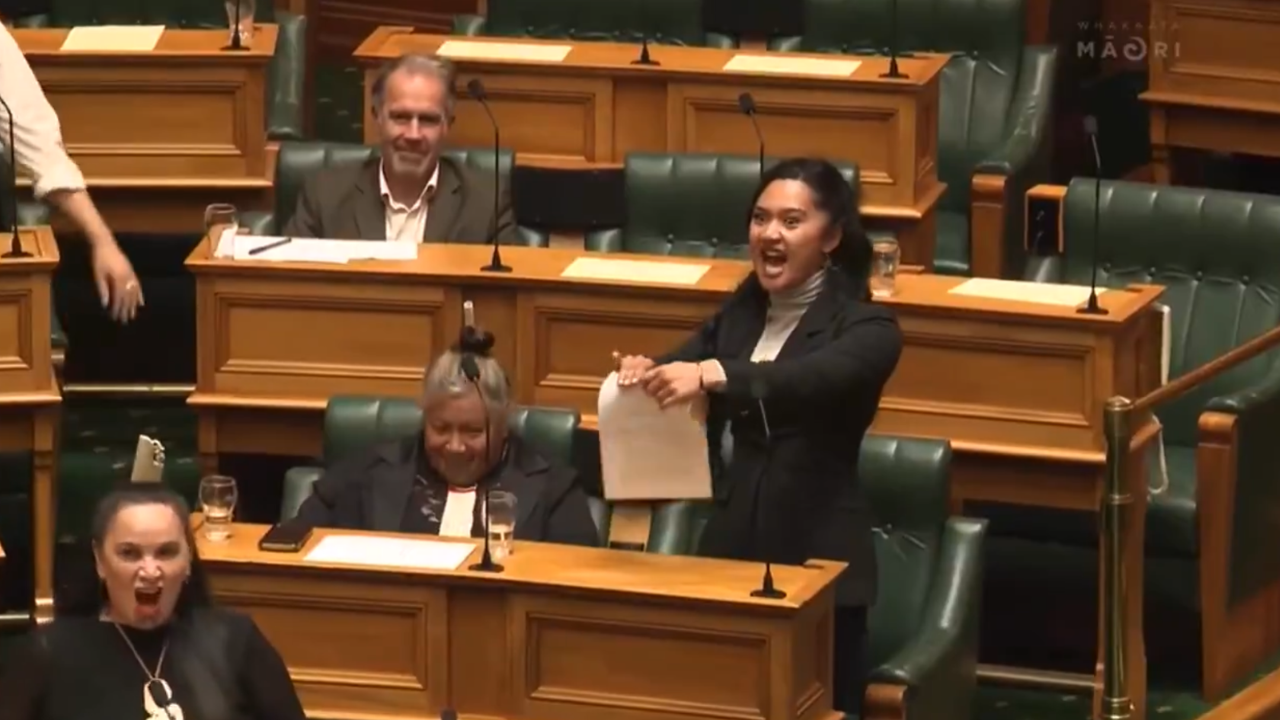 new zealand’s youngest mp rips up bill, stages ‘haka’ protest in parliament over controversial bill, viral haka video