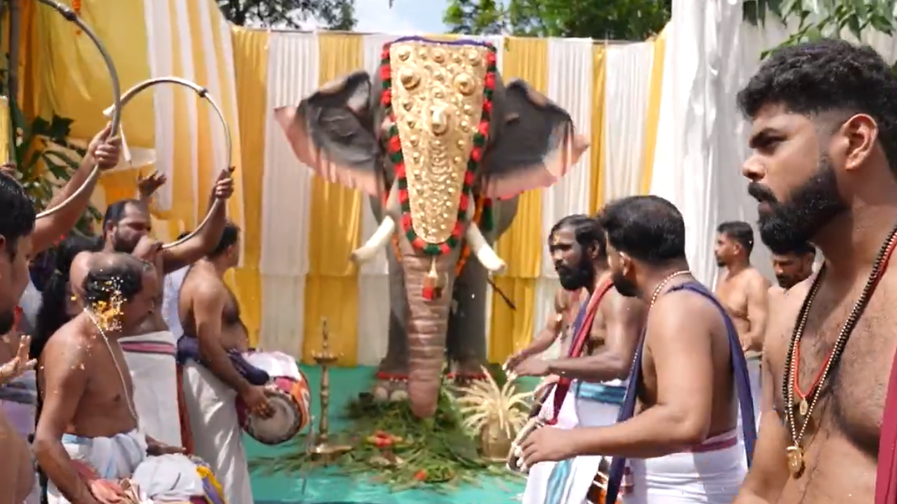 PETA India, Actor Vedhika Gift Mechanical Elephant To Temple In Kerala