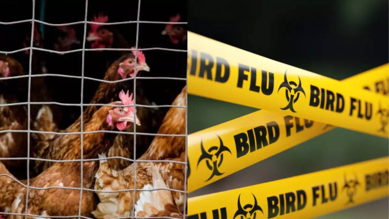 US CDC Confirms Oregon’s First Human Case Of H5N1 Bird Flu