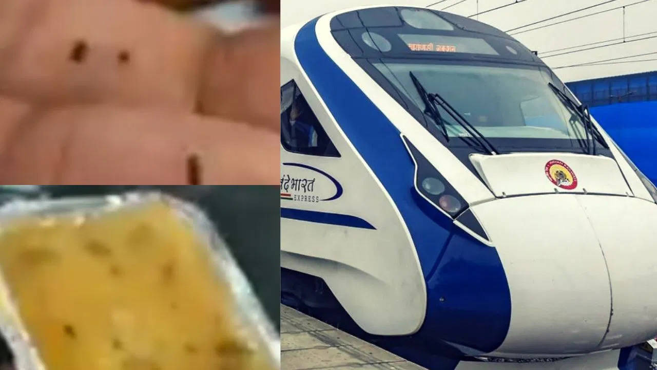 Shocking Video: Vande Bharat Passenger Finds Insect in Sambar, Railways Hits Caterer With Hefty Fine