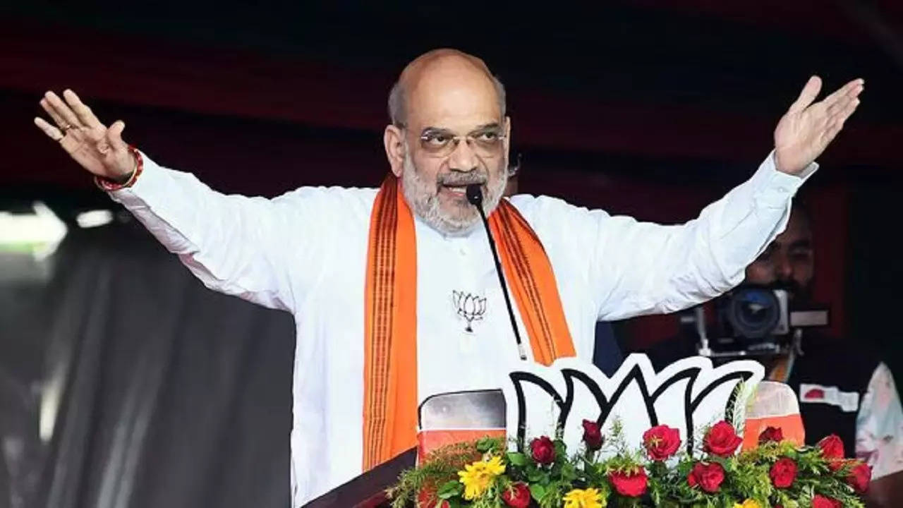 Amit Shah Lauds Vikrant Massey's Film On 2002 Godhra Tragedy