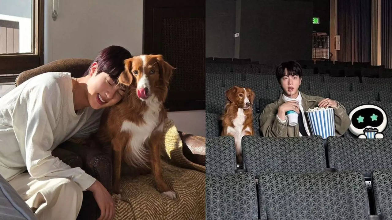 BTS Jin's Running Wild Friend Is Rescue Dog Tango, ARMY Says 'Proud Of You Seokjin' For Making It Part Of MV