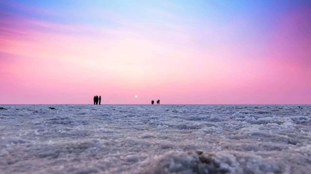 The Ultimate Winter Travel Guide To Kutch, Gujarat’s Saltscape