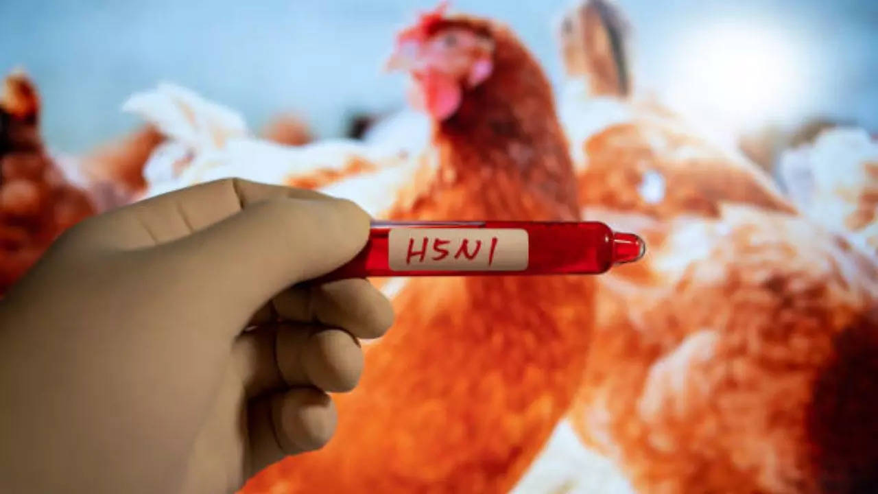 California Child Tests Positive For Bird Flu Despite No Contact With Infected Animals