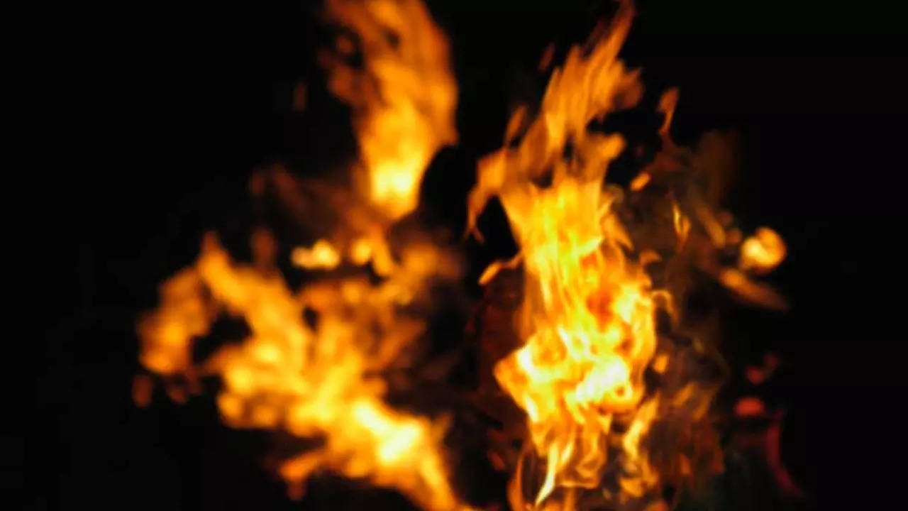 Representative Image: Tamil Nadu Man Sets Wife On Fire For Intense Devotion