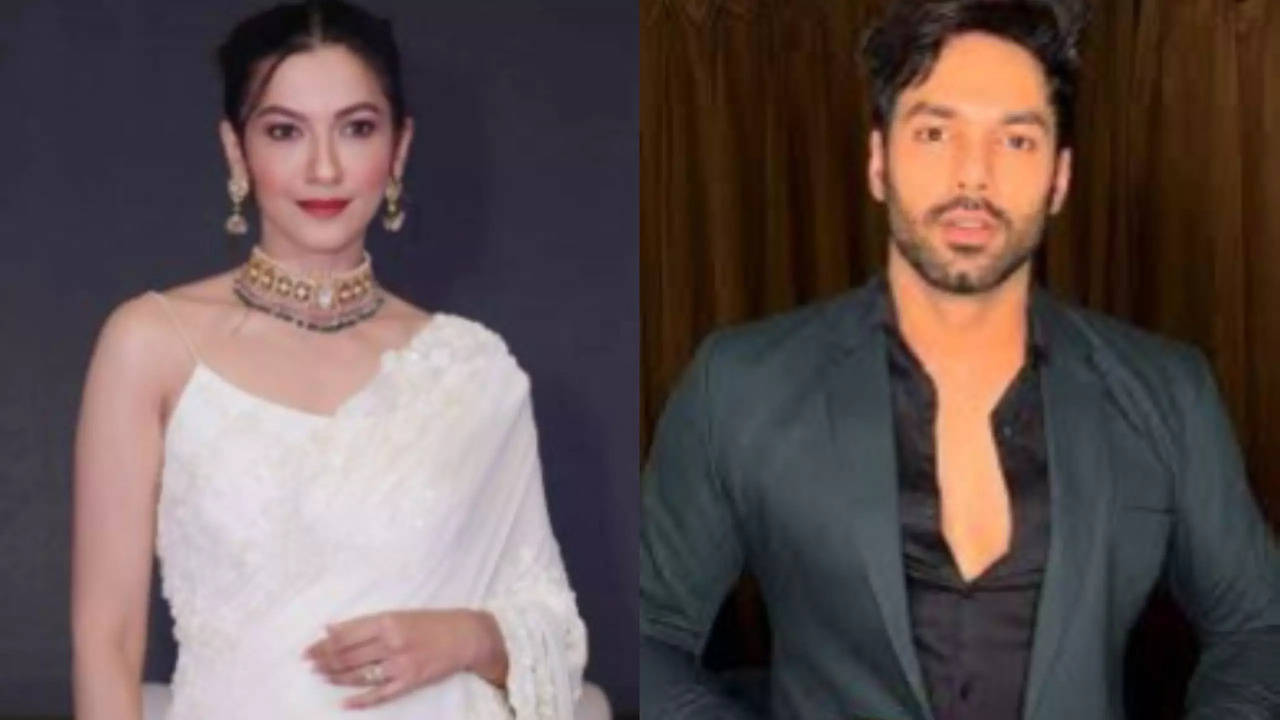 TV Newsmakers Today: Gauahar Khan To Play Lead In Ravi-Sargun's Next, Reyaansh Joins Cast Of Shaitani Rasmein