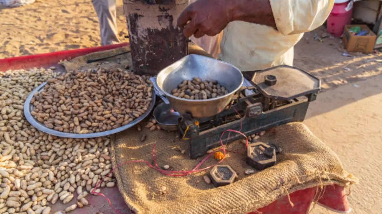 Representative Image: Kadlekayi Parishe (Groundnut Fair)