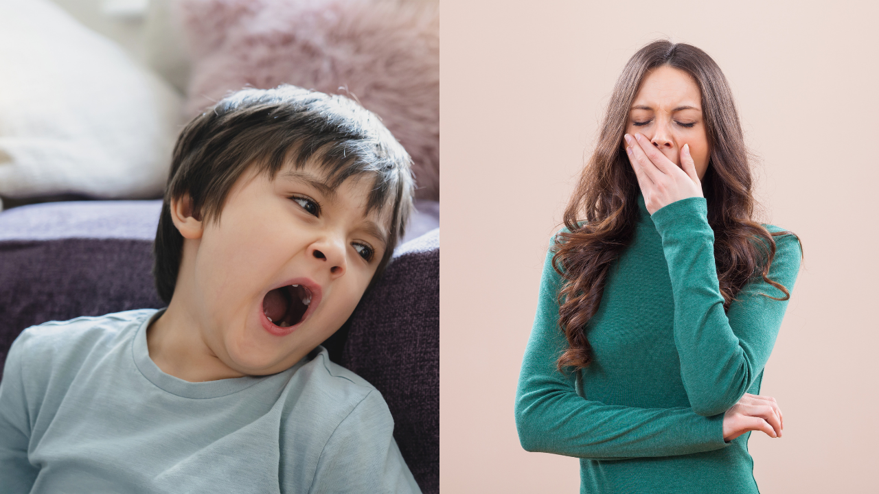 Why You Yawn More When Tired: Know The Theories Behind This Sleepy ...