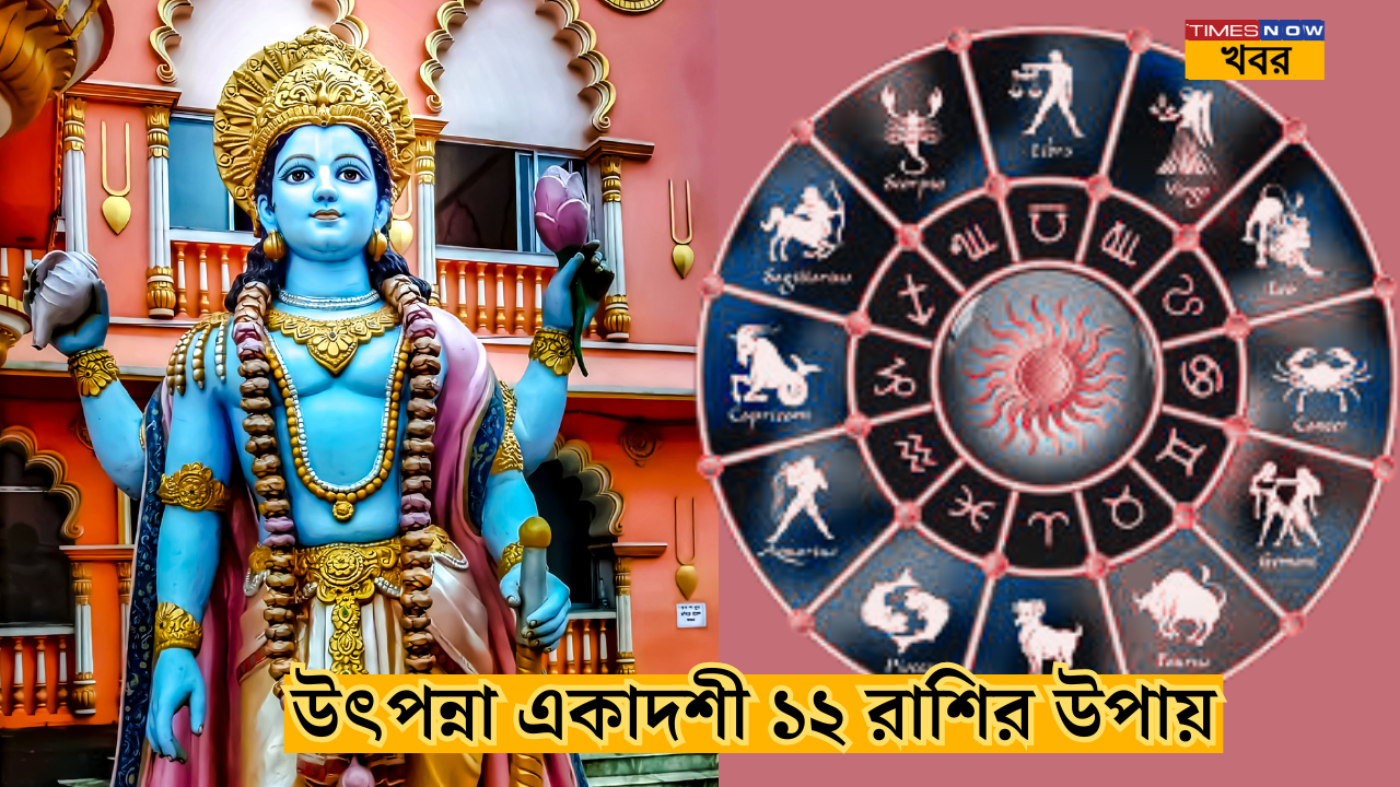 Utpanna Ekadashi and 12 Sun signs Upay