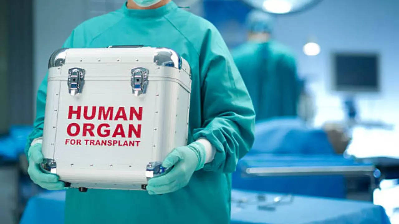 What Organs Can You Donate While Alive? The Answer Might Surprise You!