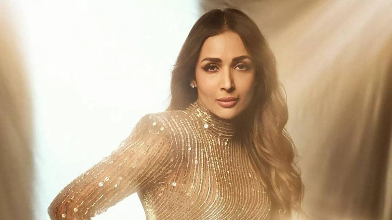 Is Malaika Arora Single Amid Breakup Rumours With Arjun Kapoor? Actress REVEALS