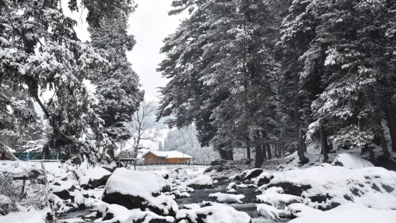 Snowfall In Kashmir