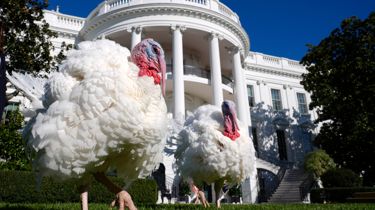 Biden pardoned Peach and Blossom on Thanksgiving