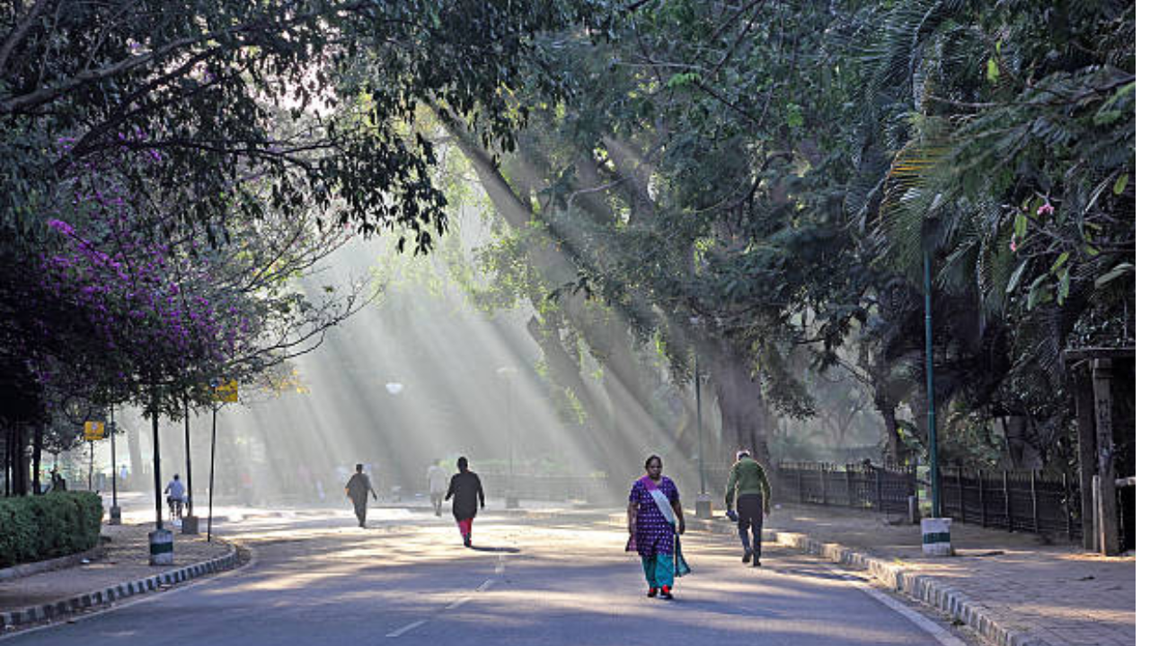 Bengaluru, Winter Is Here!