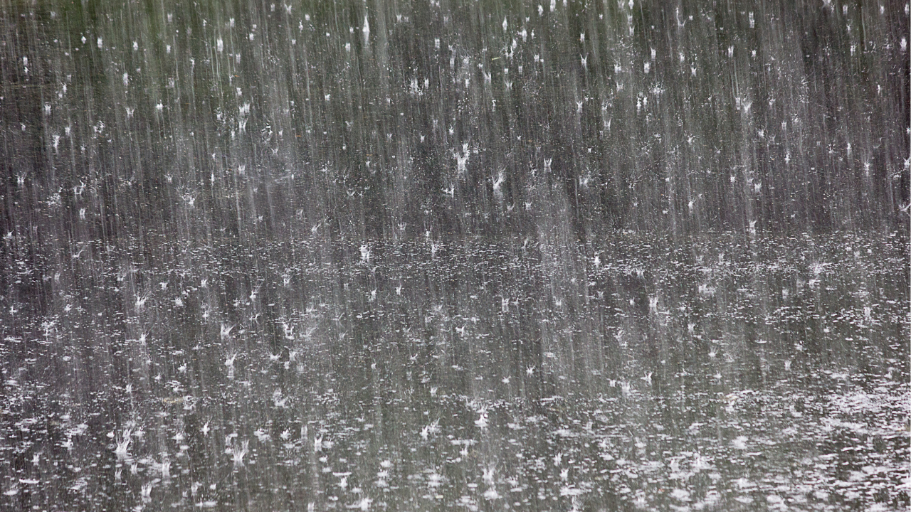 Chennai Weather Live Updates City Sees High Tide Gusty Winds Amid Deep Depression Formation in Bay of Bengal