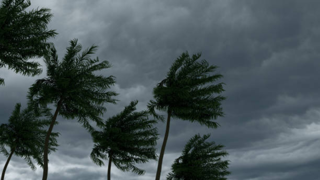 Chennai Rains Live Updates City On Yellow Alert For Heavy Rain Amid Cyclone Fenagal Alert IMD 