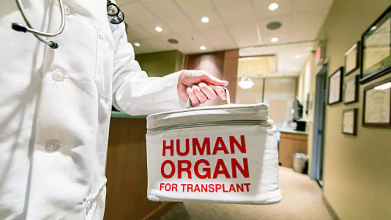 What Really Happens to Your Body After Organ Donation? Here’s The Truth