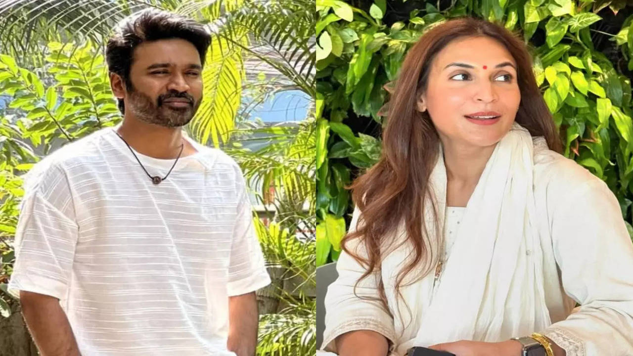 dhanush and aishwarya rajinikanth granted divorce