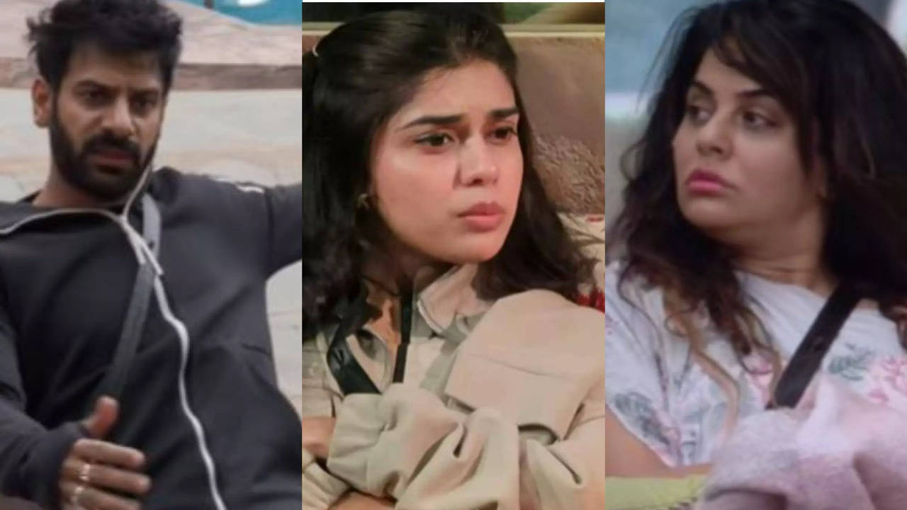 Bigg Boss 18: Karan Veer Mehra Finds An Ally In Eisha Singh After Sara Arfeen Khan Throws Water On Him