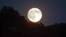 Margashirsha Purnima 2024 auspicious time for bathing and donation