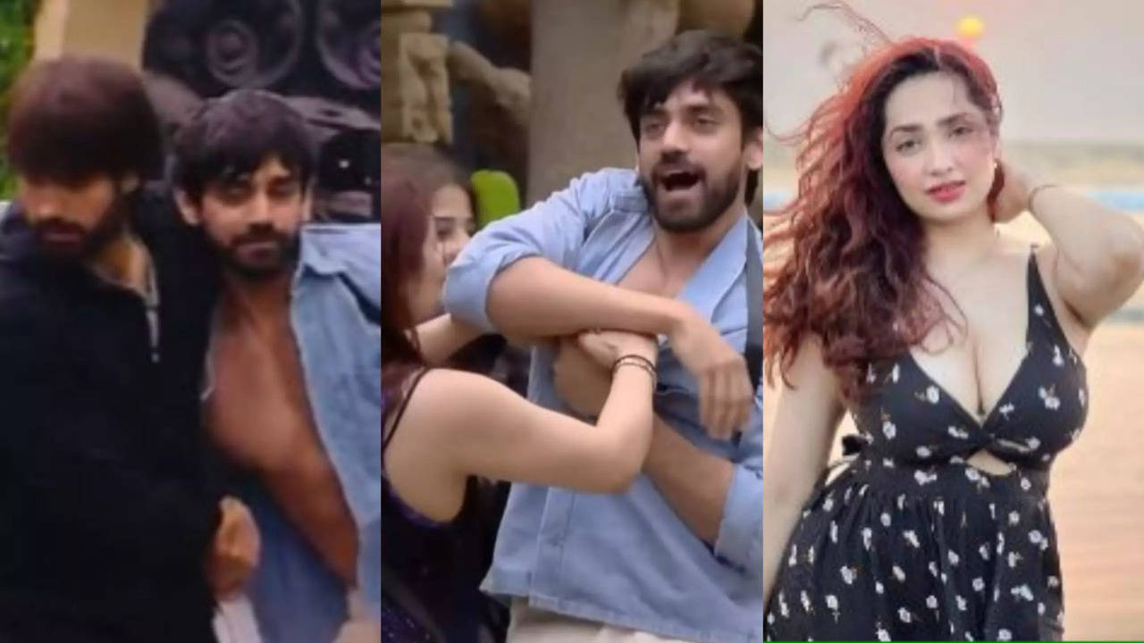 Bigg Boss 18: Fans Slam Aditi Mistry Provocative Behaviour Towards Avinash Mishra