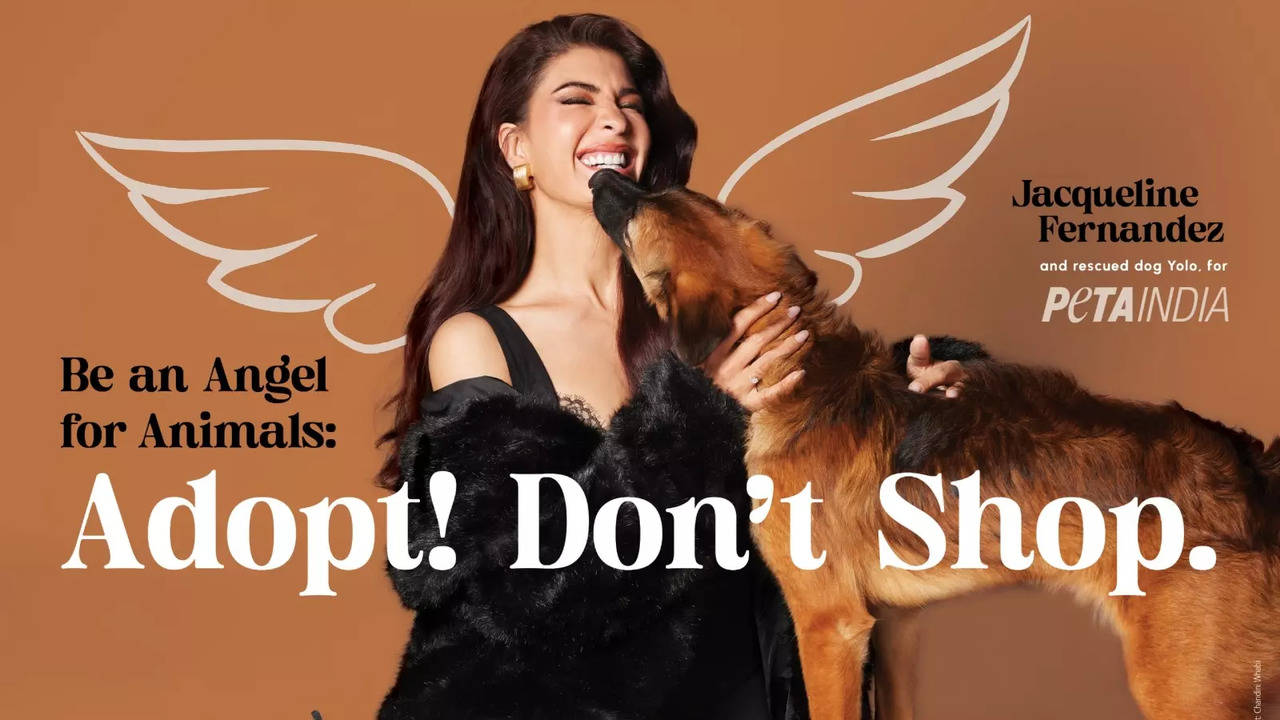 Angel for Animals Jacqueline Fernandez Reminds Fans To Adopt Shelter Pets In New PETA India Campaign