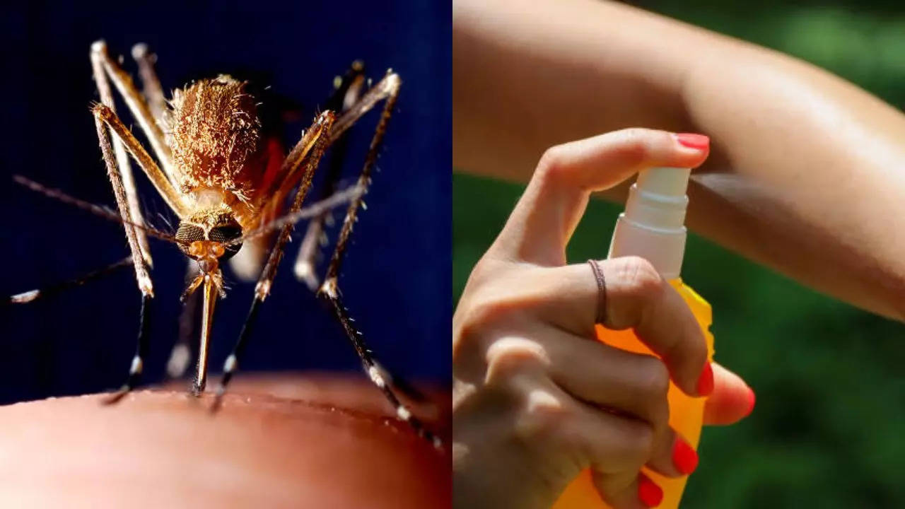 Japanese Encephalitis To Dengue: Why Are Mosquito-Borne Diseases On Rise In Delhi?