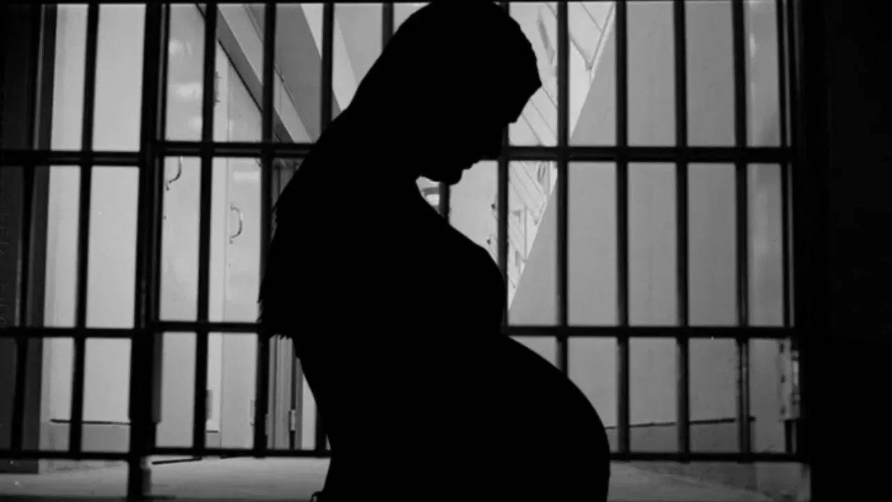 Bombay High Court Grans Bail To Pregnant Woman