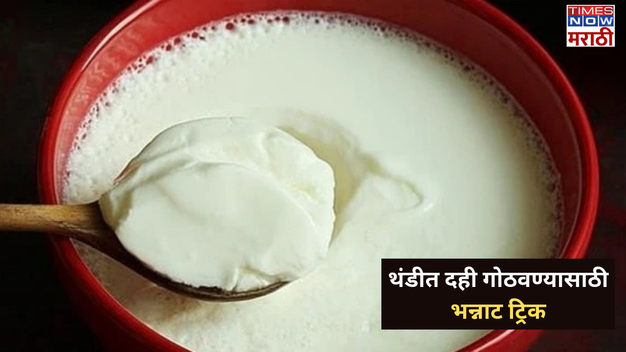 master chef pankaj bhadouria shares amazing hacks to set thick and creamy curd in winter