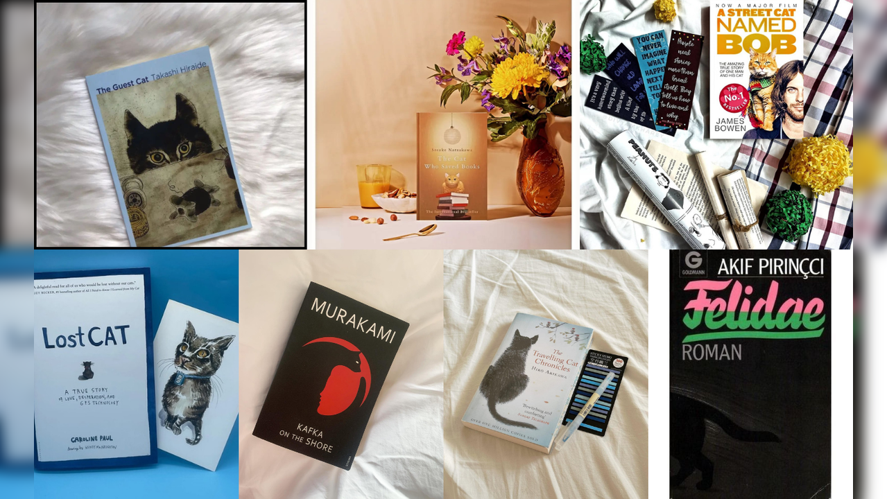 7 Books That Every Cat Lover Should Read