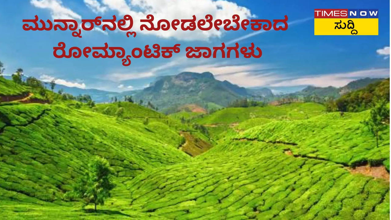 ಮುನ್ನಾರ್‌ನಲ್ಲಿ ನೋಡಲೇಬೇಕಾದ ರೋಮ್ಯಾಂಟಿಕ್‌ ಜಾಗಗಳು