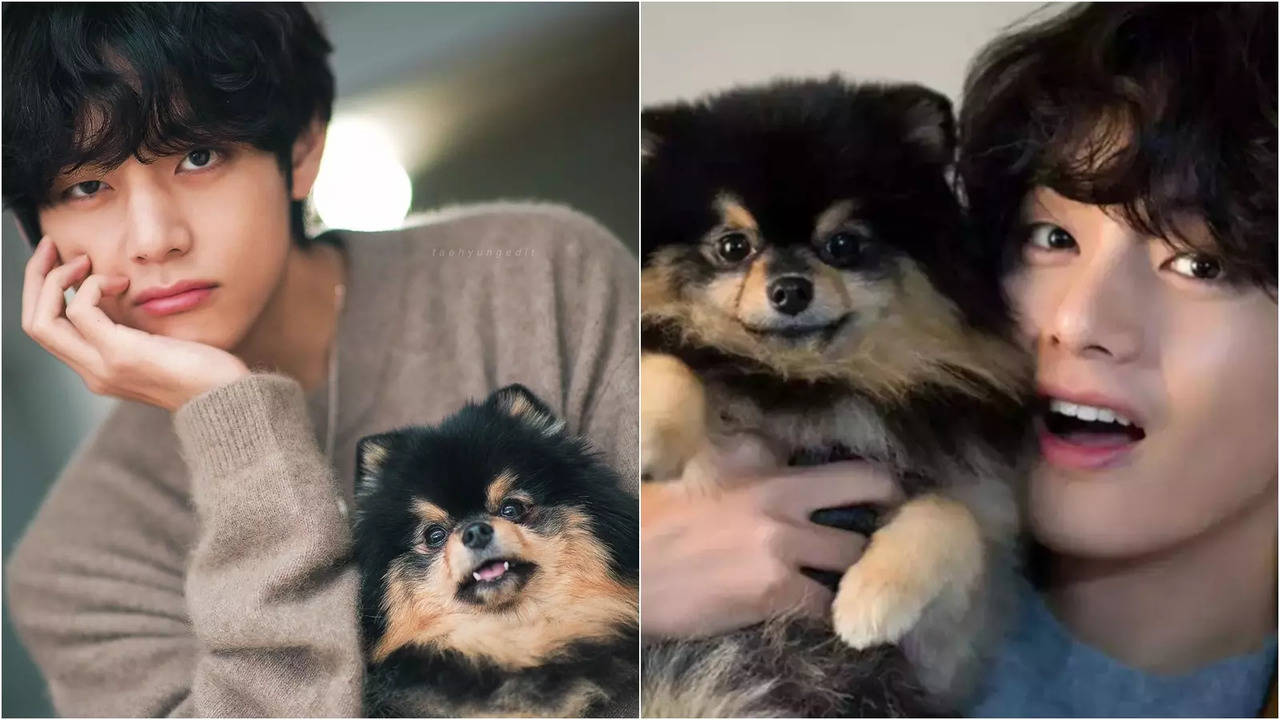 BTS V Writes Heartbreaking Instagram Post Mourning His Pet Dog's Death - 'ARMY Loved Yeontan'