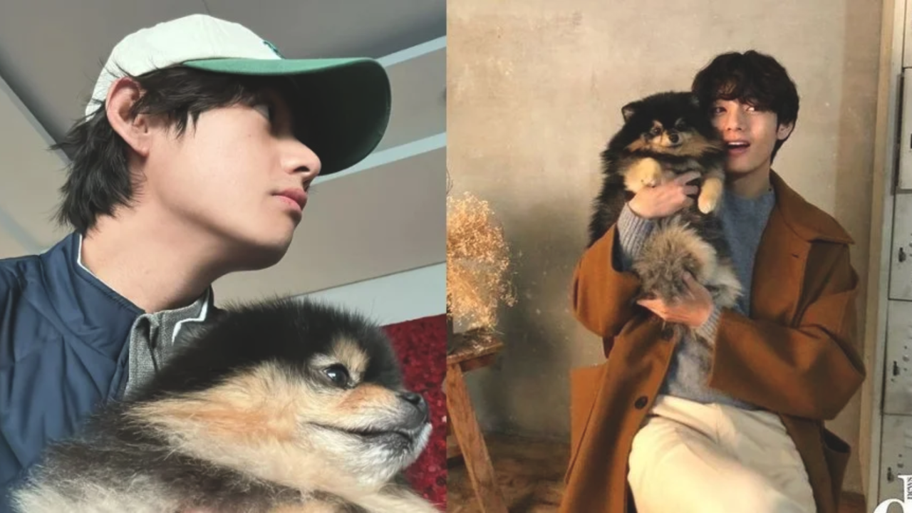 When Excited BTS' V Introduced Pet Dog Yeontan AKA Tannie To ARMY For First Time On Jin's Birthday